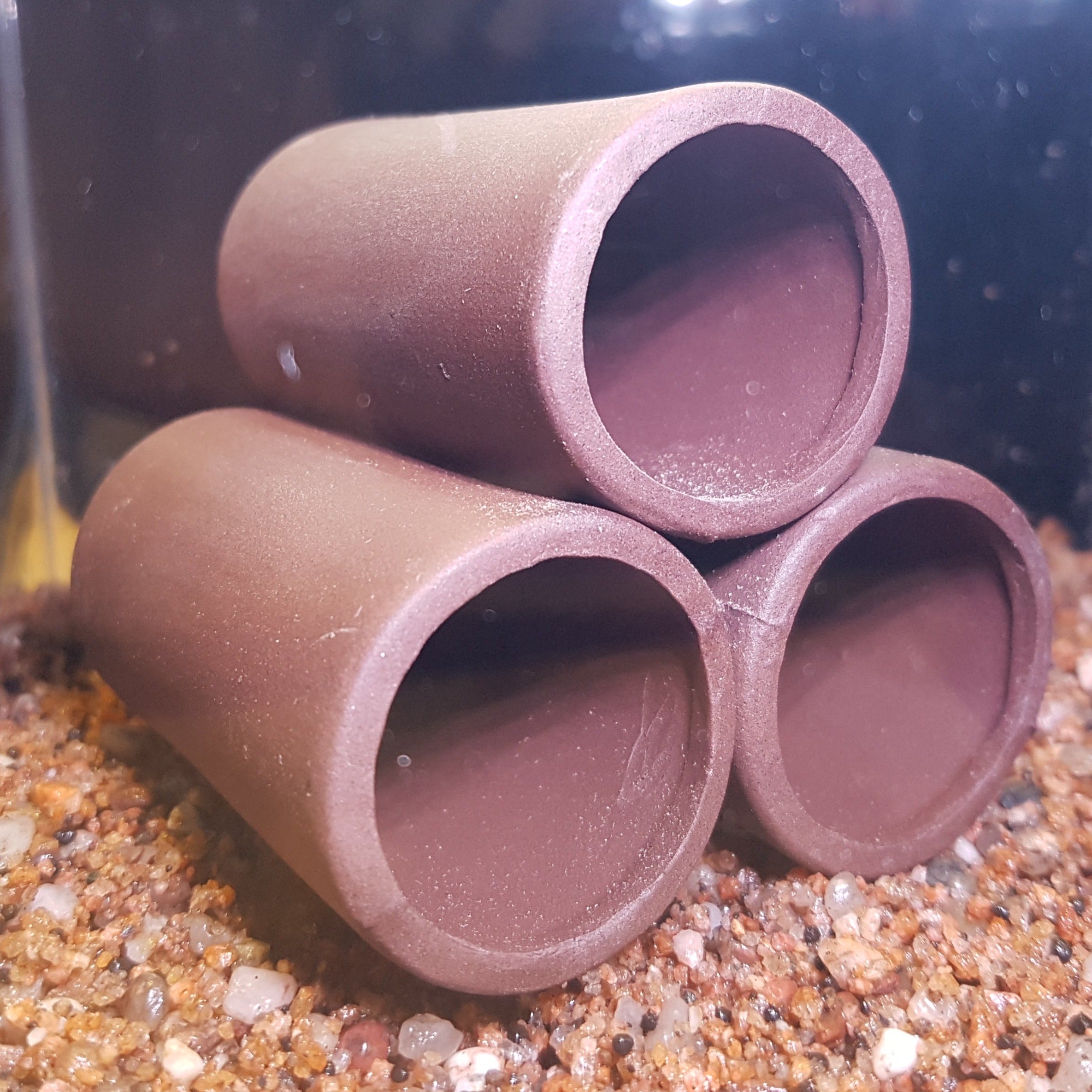 Pyramid-tunnel-Shrimp/fish hide