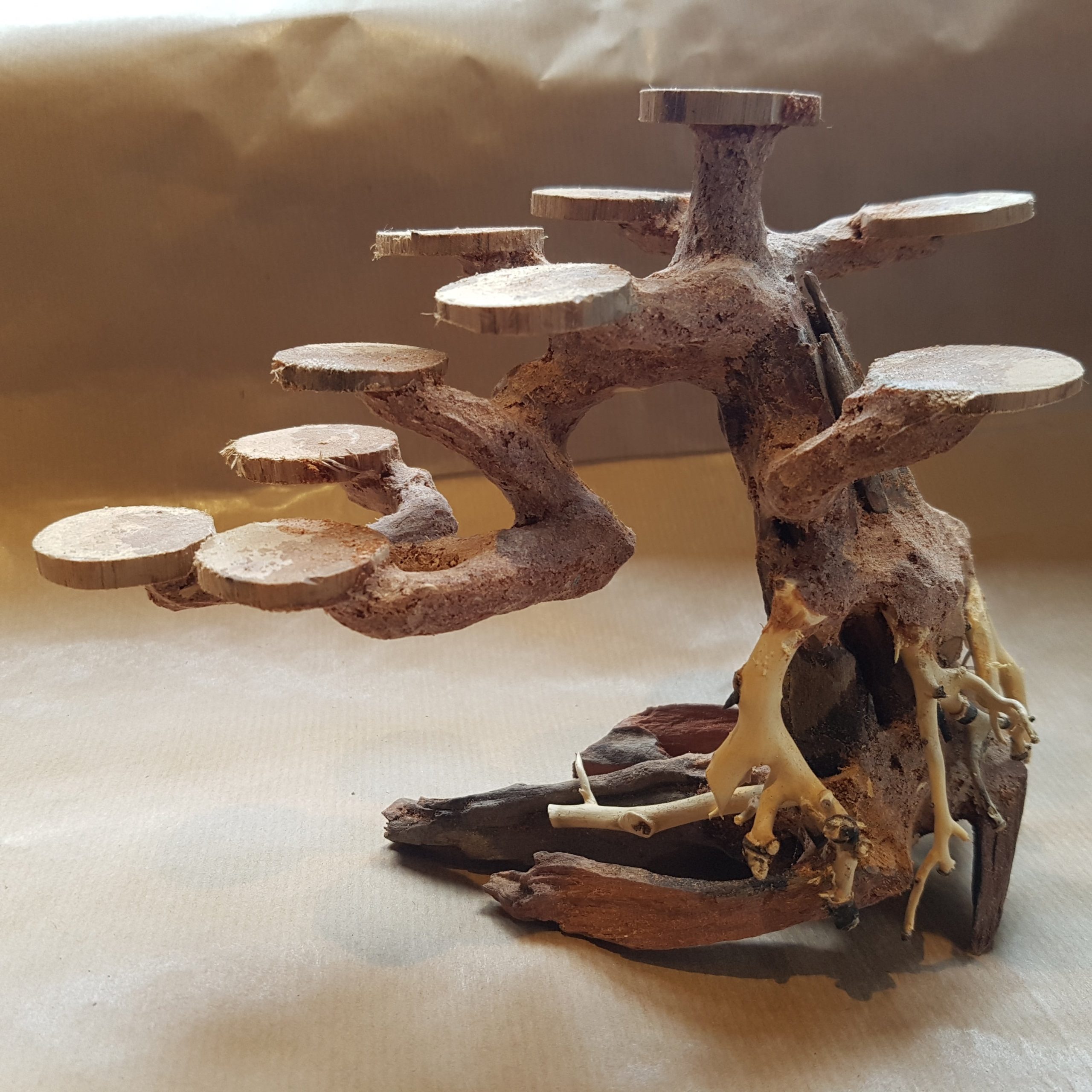 Aquarium-wood/resin-bonsai-tree-with-planting-plates