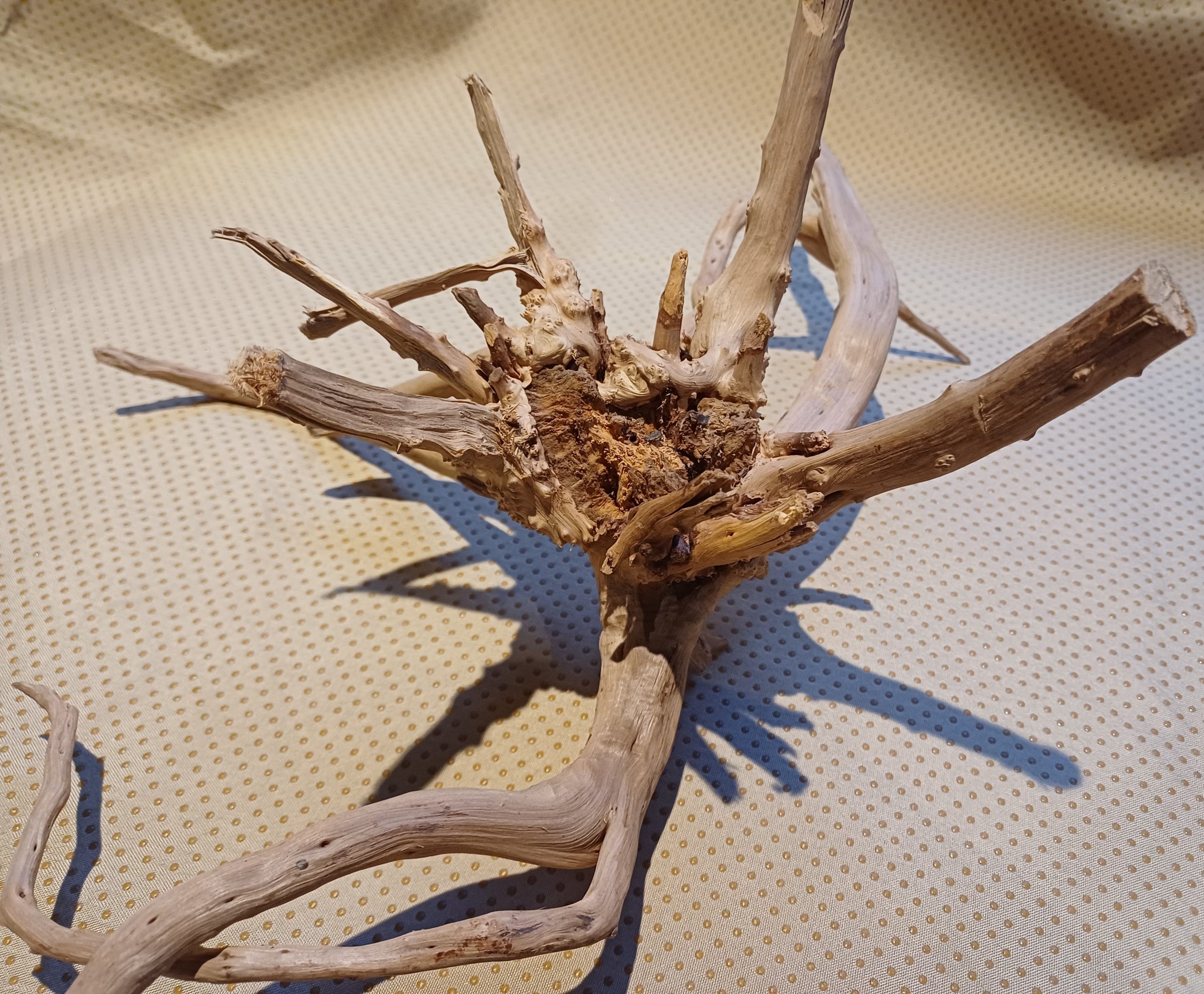 Aquarium-Root-Wood-Small