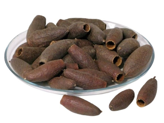 Savu-pods-botanical-aquarium