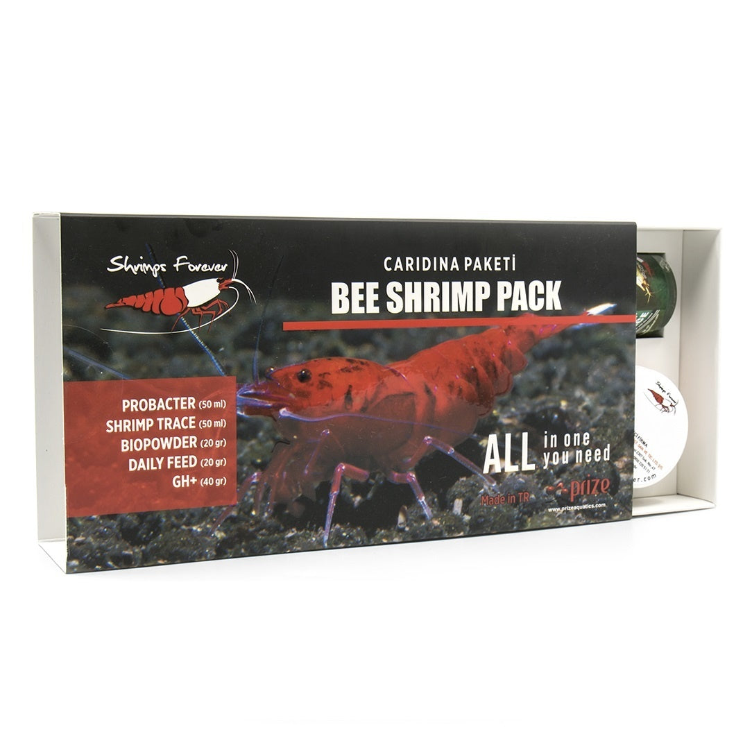 shrimps-forever-caridina-box-shrimp food