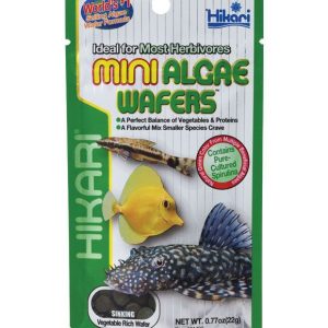 Hikari-MINI-Algae-wafers-fish-food