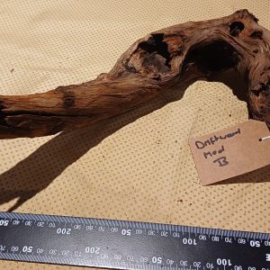 Medium-Aquarium-Drift-Wood