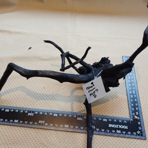 Medium-Black-moor-aquarium-wood