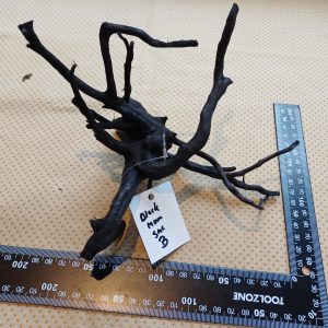 Small-Black-moor-aquarium-wood