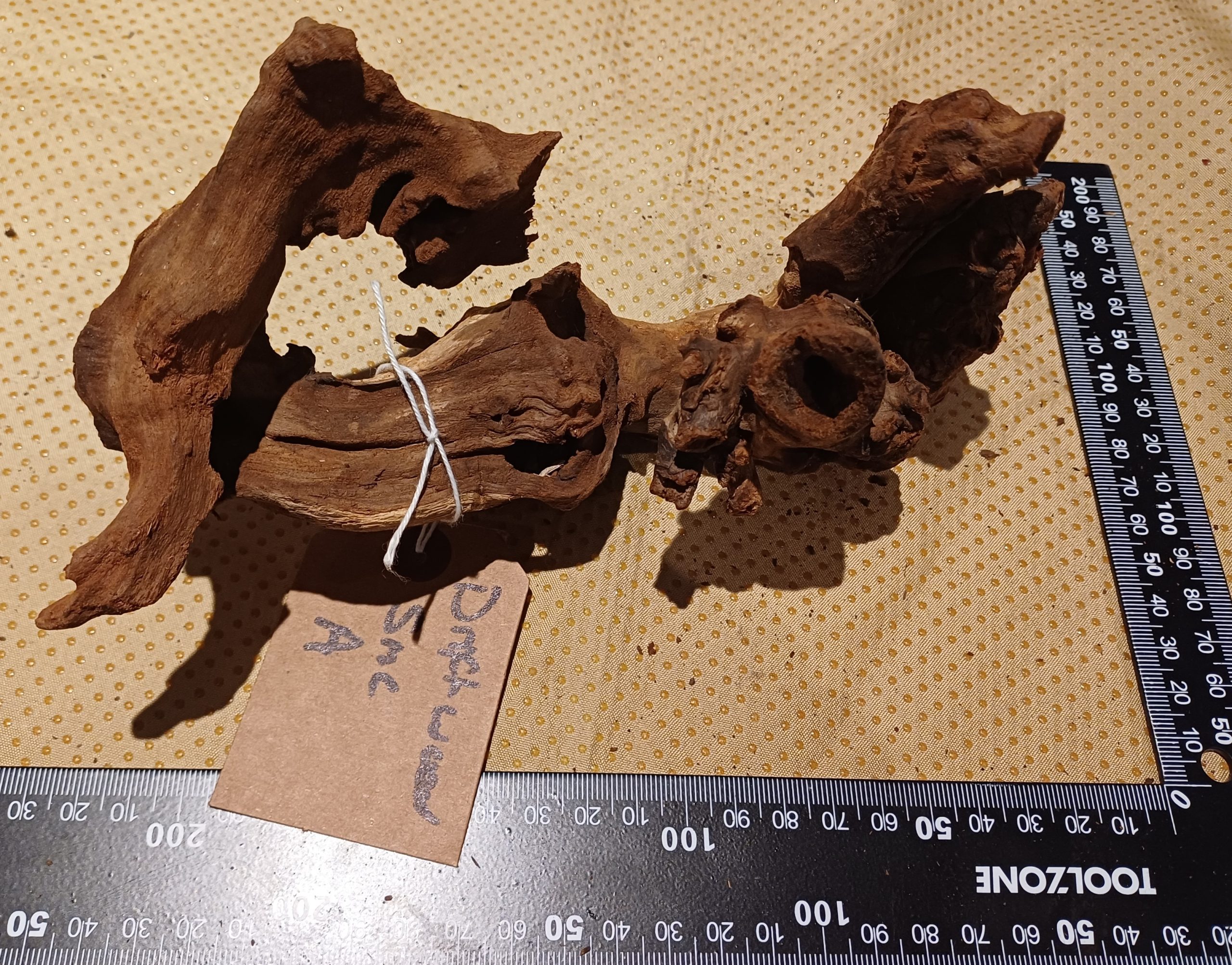 Driftwood for Aquariums - Small 8-10cm