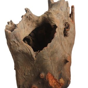 Corbo Root/stump aquarium wood - 30-40cm