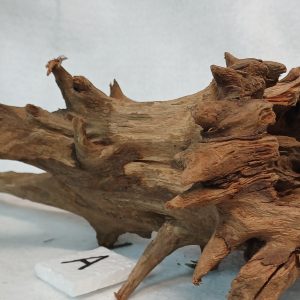 Corbo-stump-aquarium-wood-Medium