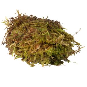 HabiStat-Sphagnum-Moss-1kg