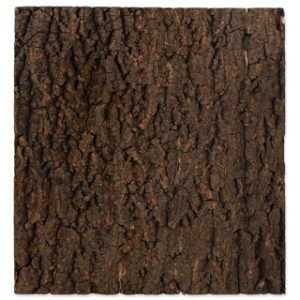 Repti-Planet-Cork-Terrarium vivarium-Background