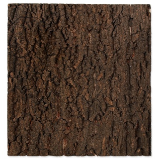 Repti-Planet-Cork-Terrarium vivarium-Background