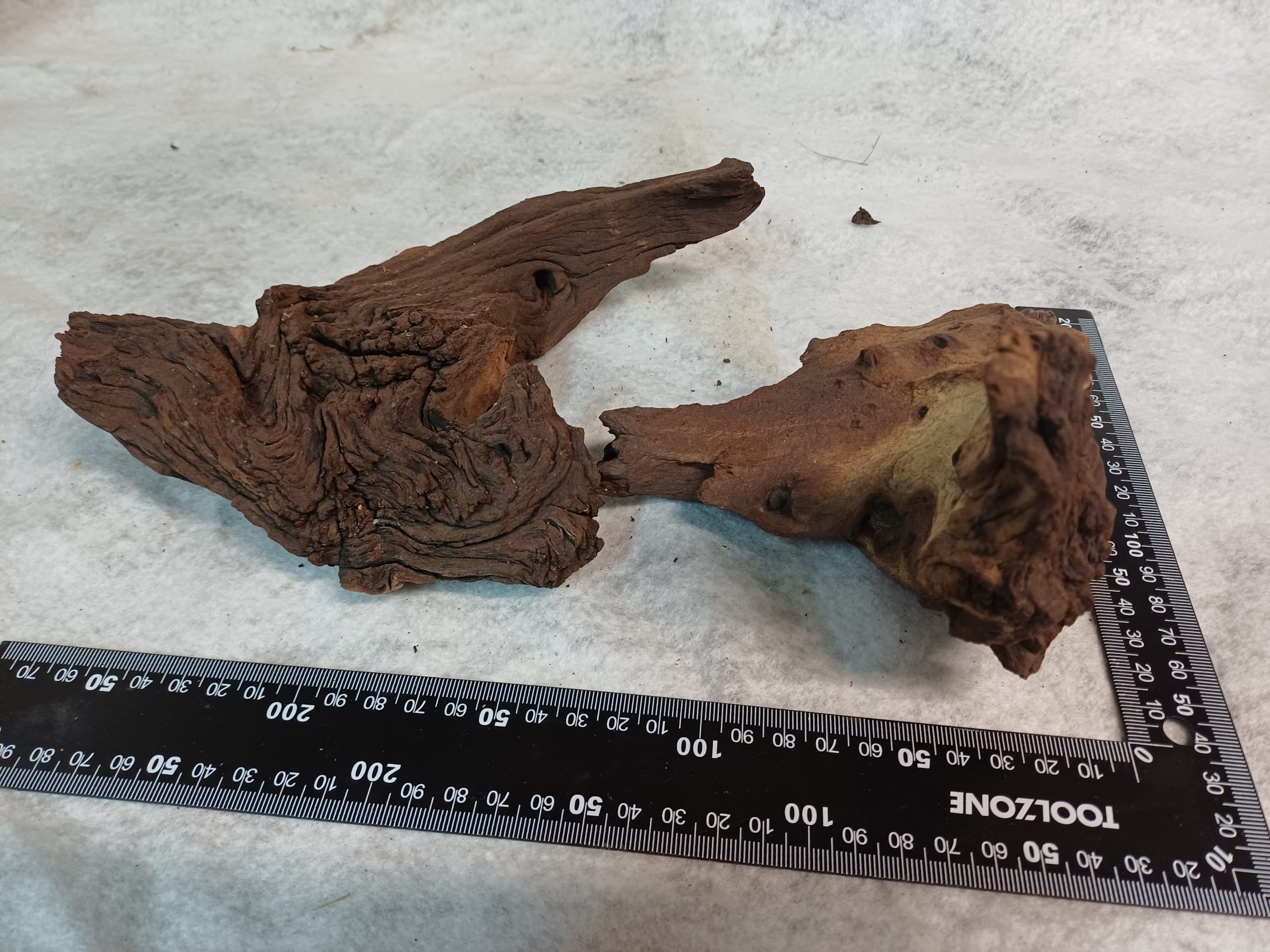 Mopani - Aquarium wood - 10-15cm (small)