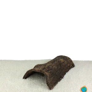 Axolotl-Half-Cave-Med-Lrg-X-Lrg