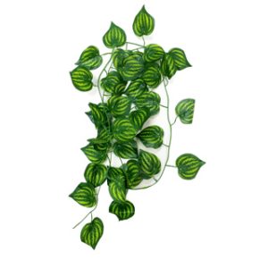 Green Ivy Vine Striped Leaf - 230cm