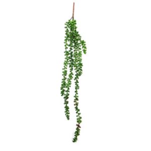 Green/Red terrarium Vine 70cm