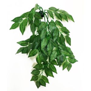 Green Terrarium Vine 30cm