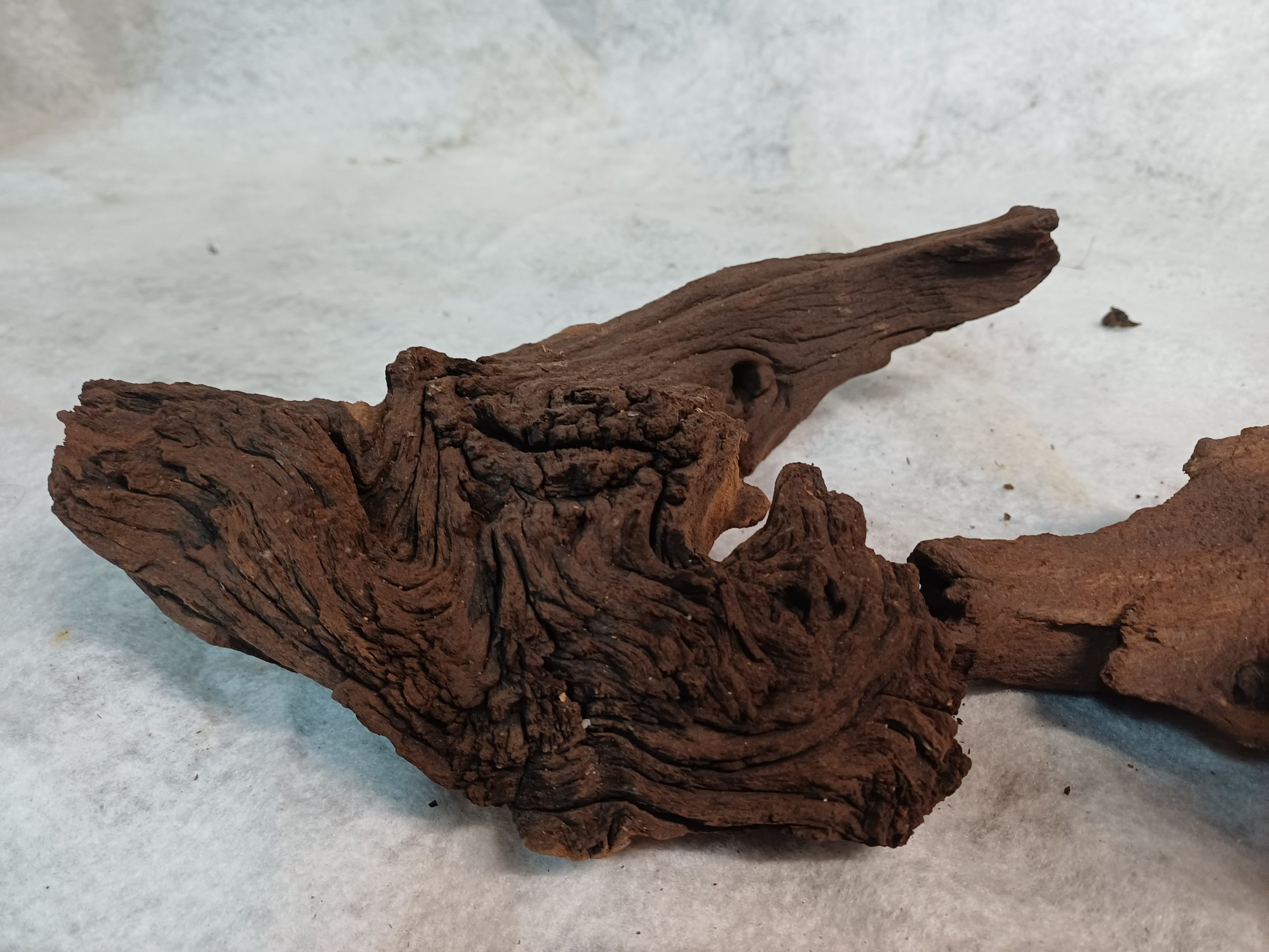 Mopani-Aquarium-wood-Small
