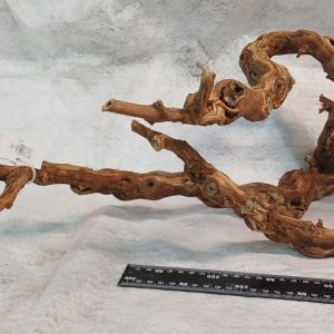 Wine-wood-for-terrariums