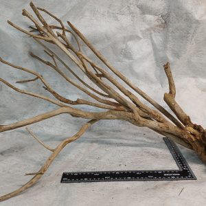 Talawa Aquarium wood - Large Bispoke pieces