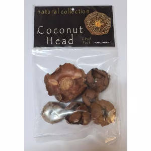 Coconut Head Aquarium Botanical