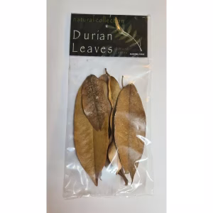 Durian-Leaves-–-Pack-of-10-Aquarium-Botanicals